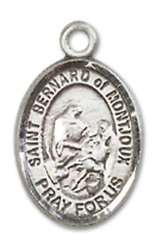St. Bernard of Montjoux Charm Medal, Sterling Silver, 1/2", Your choice of chain, # 10118