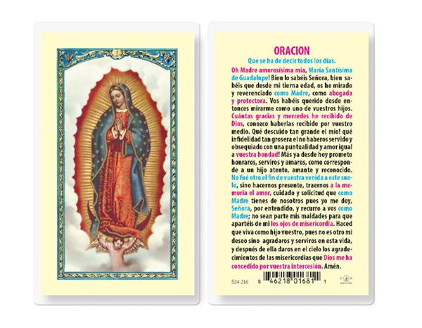 N.S. DE GUADALUPE Spanish Laminated Holy Cards, 25-Count Value Pack, # 18201