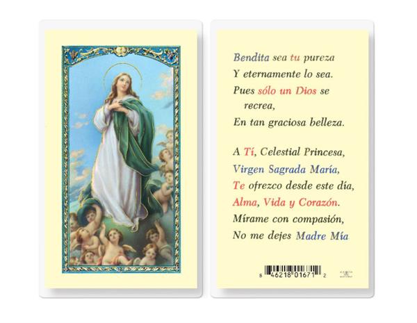 ORACION A LA VIRGEN MARIA Spanish Laminated Holy Cards, 25-Count Value Pack, # 18211