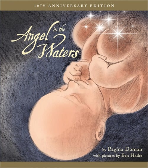 Angel in the Waters Softcover, Regina Doman, Ben Hatke, # 4232