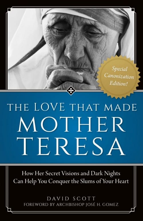 Love That Made Mother Teresa, by David Scott, # 4239