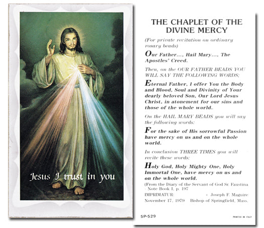 DIVINE MERCY Paper Holy Cards, 2"x4", 100-pack, # 5895
