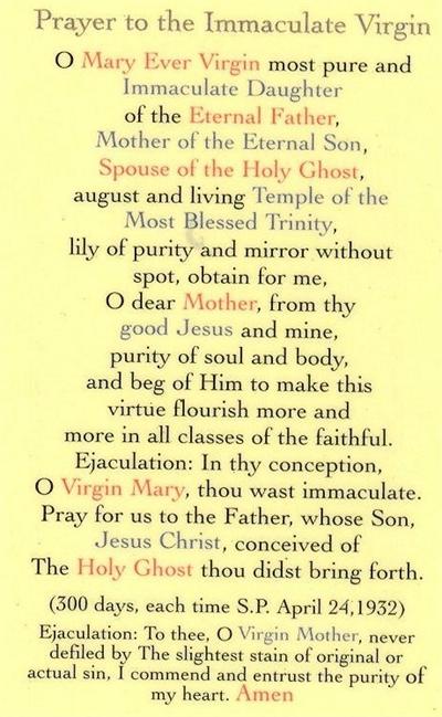 Prayer to the Immaculate Virgin, Laminated Holy Card,. # 59069.
