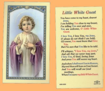 Little White Guest Laminated Holy Card, 25-Pack, # 99747