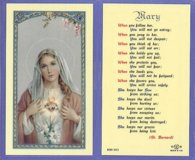 Mary Prayer Laminated Holy Card, 25-Pack, # 99764
