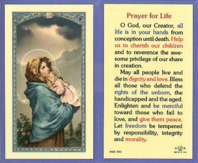 Prayer For Life Laminated Holy Card, 25-Pack, # 99970