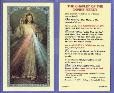 Chaplet of Divine Mercy Laminated Holy Card, 25-Pack, # 99728