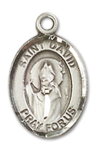 St. David of Wales Charm Medal, Fine Pewter, 1/2", Your choice of chain, # 10327