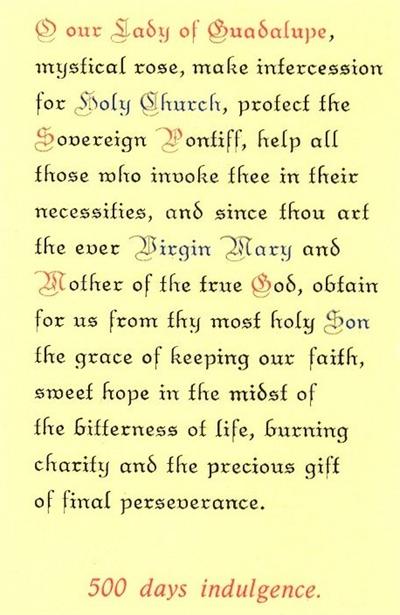 Our Lady of Guadalupe Prayer (500 days indulgence), Laminated Holy Card,. # 99781.