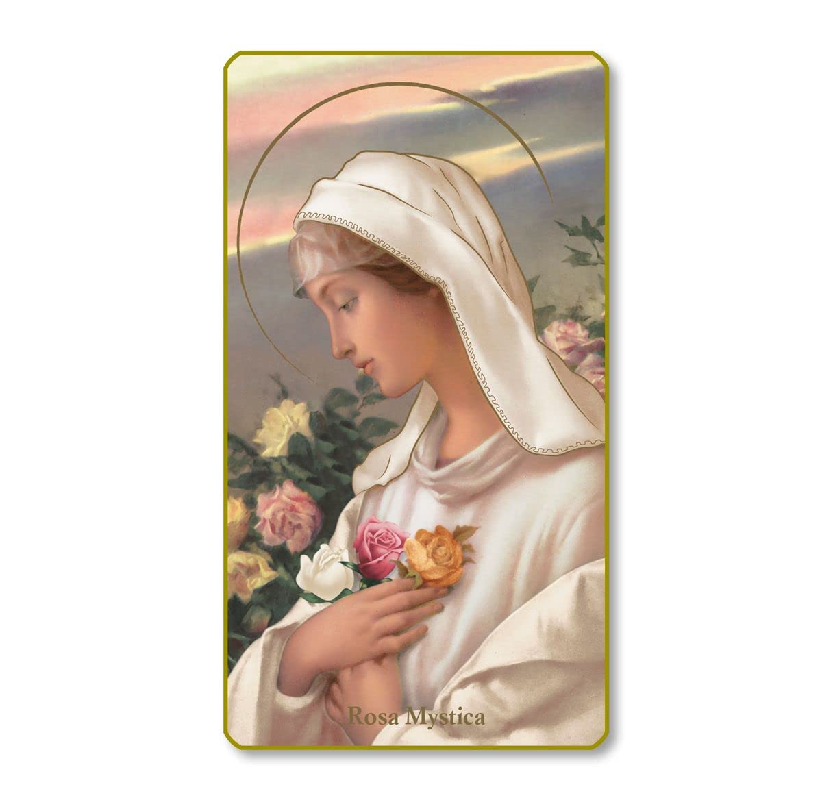 Rosa Mystica Italian Paper Holy Cards, 2"x4", Blank Back, 100-Pack, # 6253