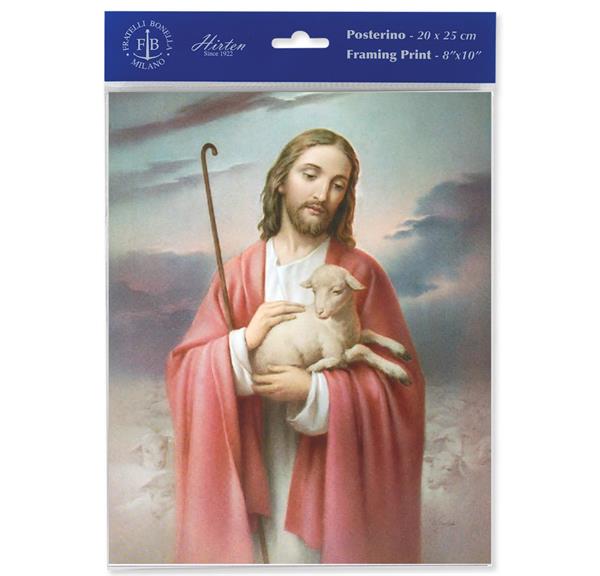 Good Shepherd 8"x10" Italian Prints, 3-Count Value Pack # 29816