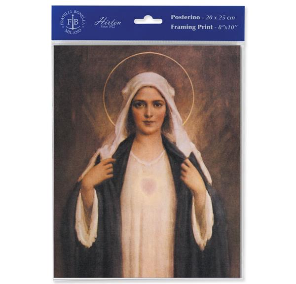Chambers: Immaculate Heart of Mary 8"x10" Italian Prints, 3-Count Value Pack # 29857