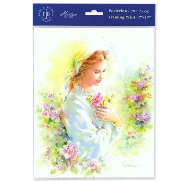 Blanc: Mystical Rose 8"x10" Italian Prints, 3-Count Value Pack # 29989