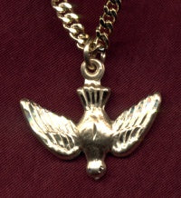 14kt Gold Filled Dove, 7/8" wide, Your choice of chain, # 3256