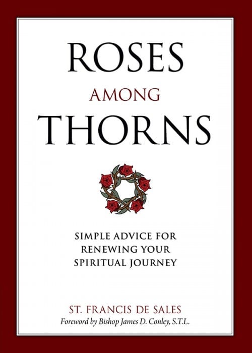 Roses Among Thorns Simple Advice for Renewing Your Spiritual Journey, # 4160