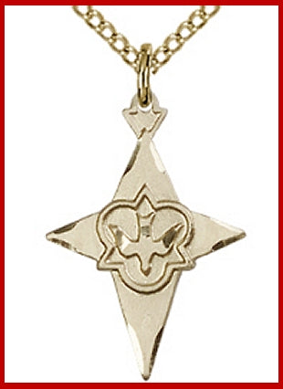 3/4" Holy Spirit Star Cross, 14kt Gold Filled, your choice of chain, # 48241