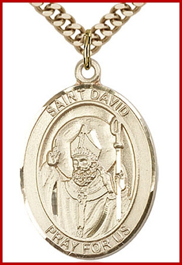St. David of Wales Medal, 14kt Gold Filled, 1"x3/4", Your choice of chain, # 49262