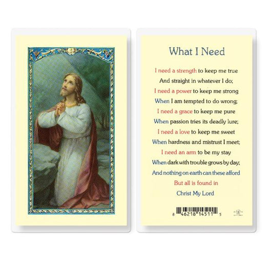 What I Need Laminated Holy Cards, 25-Count Value Pack # 59037
