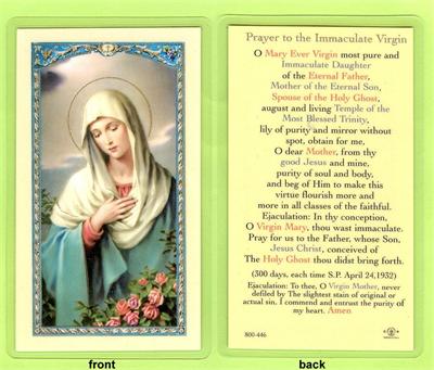 Prayer to the Immaculate Virgin, Laminated Holy Card,. # 59069.|