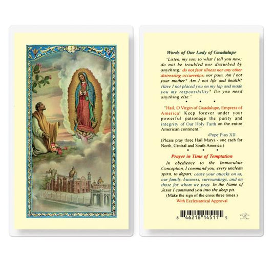 Words of Our Lady of Guadalupe Laminated Holy Cards, 25-Count Value Pack # 59077