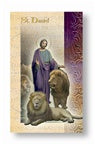 St. Daniel Folding Prayer Card, # 60298