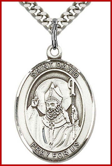 St. David of Wales Medal, Sterling Silver, 1"x3/4", Your choice of chain, # 70436