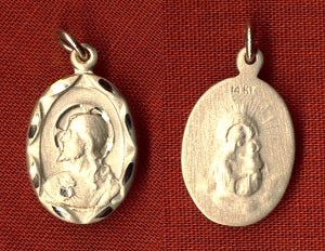 Solid 14kt Gold Scapular Medal., Free Chain, # 7054