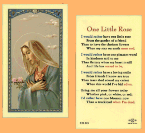 One Little Rose: Laminated Holy Card, # 99983