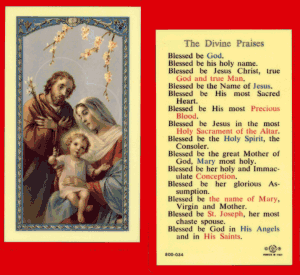 Divine Praises: Laminated Holy Card, # 99834