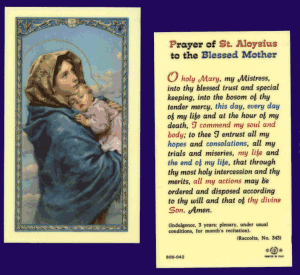 St. Aloysius' Prayer To The Blessed Mother  Laminated Holy Card, # 99762