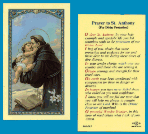 Prayer To St. Anthony: Laminated Holy Card, # 99805