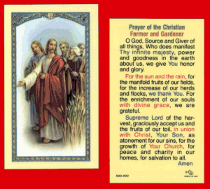 Prayer of the Christian Farmer and Gardener: Laminated Holy Card, # 99999