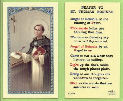 Thomas Aquinas Laminated Holy Card, # 99916