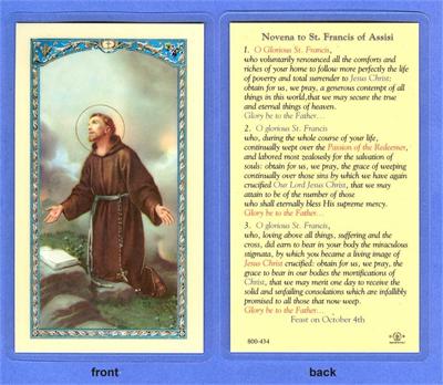 St. Francis Novena Laminated Holy Card, # 99812|