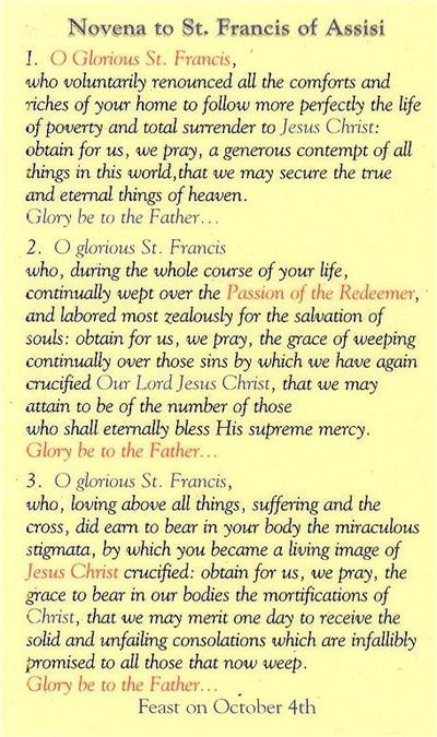St. Francis Novena Laminated Holy Card, # 99812