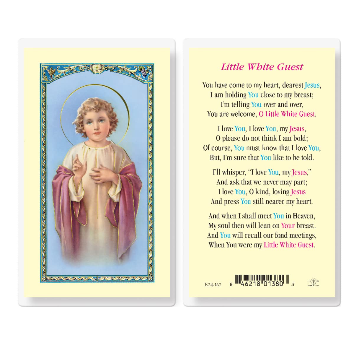 Little White Guest Laminated Holy Card, 25-Pack, # 99747